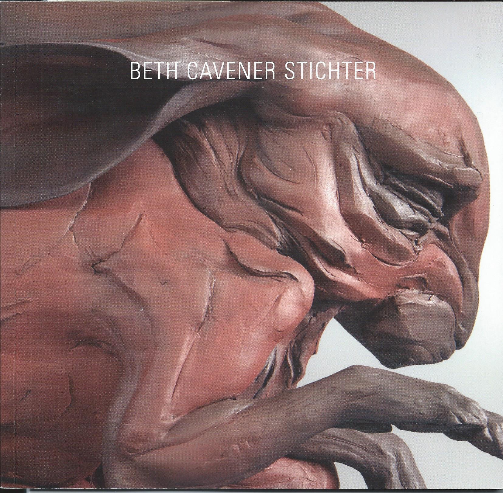 Image for A Modest Proposal; BETH CAVENER STICHTER